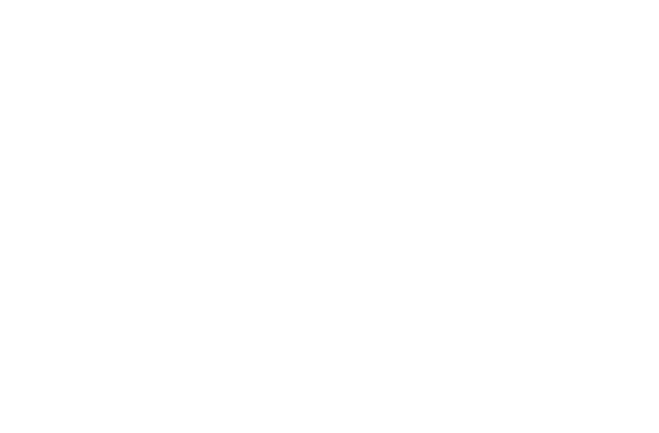 MTStein Media